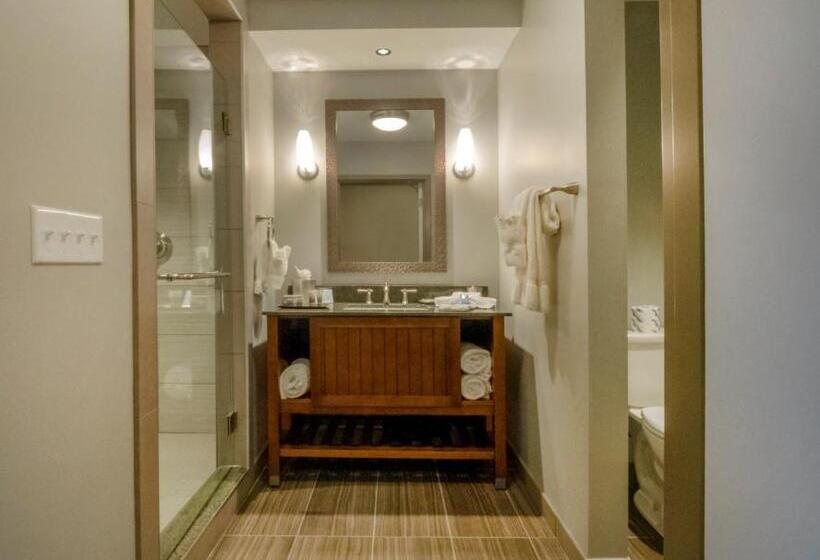 Номер Deluxe Кровать Кинг, Chautauqua Harbor Hotel   Jamestown