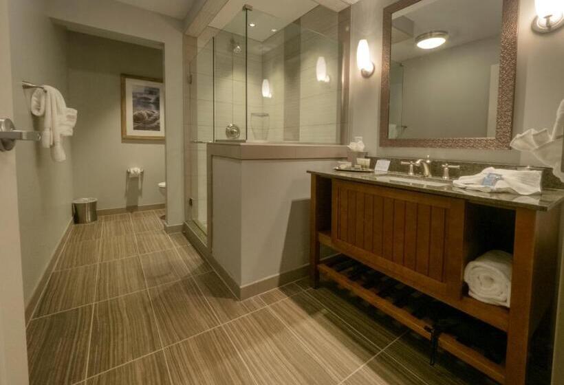 Люкс Повышенной Комфортности, Chautauqua Harbor Hotel   Jamestown