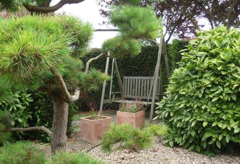 带共用浴室的标准房间, B&b “te Warskip Bij Blokvis”