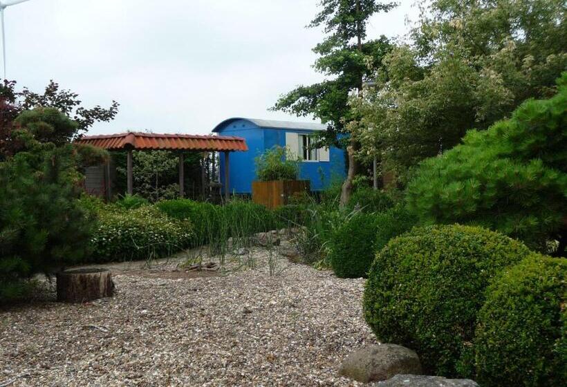 标准三人间, B&b “te Warskip Bij Blokvis”