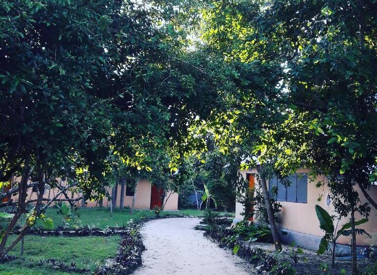 带大床的标准间, Gecko Nature Lodge Home Of Swahili Divers The Best Dive Center And Famous Gecko Restaurant