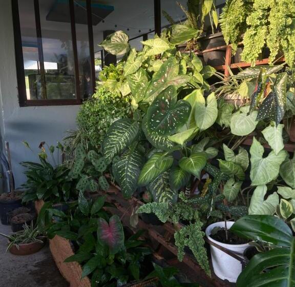 豪华房间, Ashraya Boutique Homestay