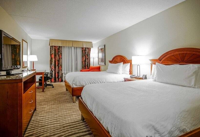 스탠다드 룸 더블 침대 2개, Hilton Garden Inn Kankakee