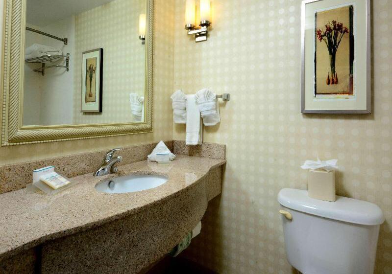 اتاق استاندارد با تخت بزرگ, Hilton Garden Inn Raleigh Capital Blvd I540