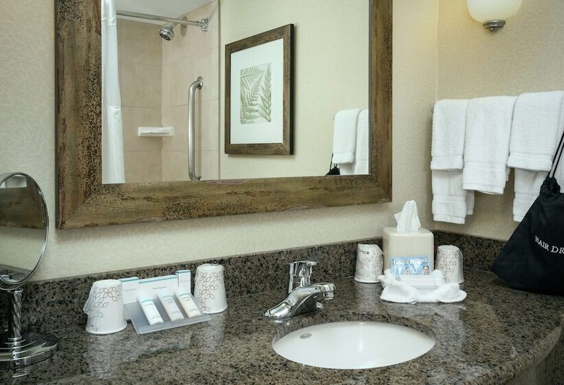 Номер Стандарт, Hilton Garden Inn Seattle  Issaquah