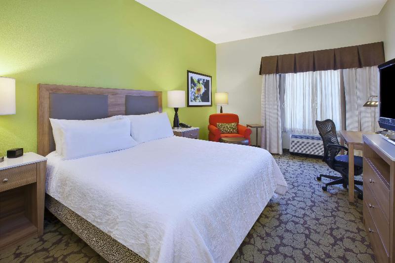 اتاق استاندارد با تخت بزرگ, Hilton Garden Inn Wichita