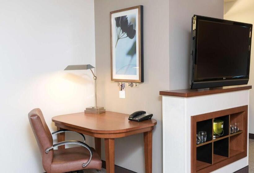 身障者適用キングサイズベッドルーム, Hyatt Place Sarasota/bradenton