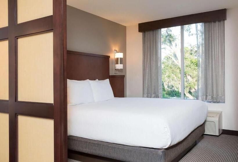 身障者適用キングサイズベッドルーム, Hyatt Place Sarasota/bradenton