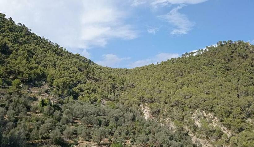 اتاق استاندارد, Agriturismo Vecchio Frantoio