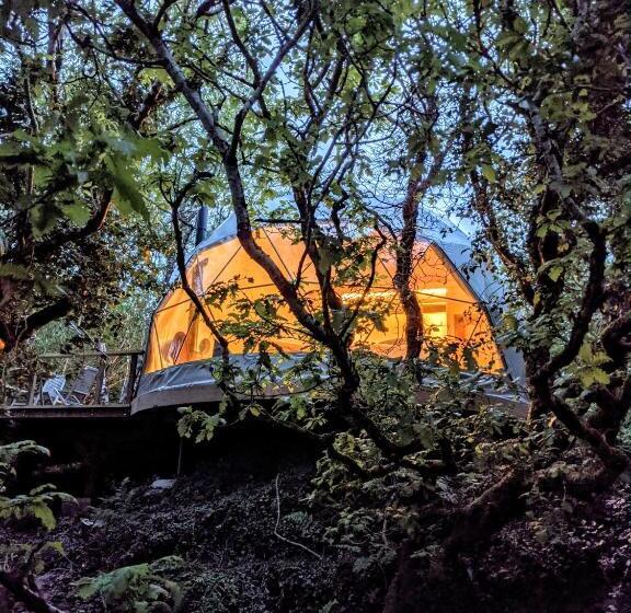 דירת חדר דלוקס, Fernwood