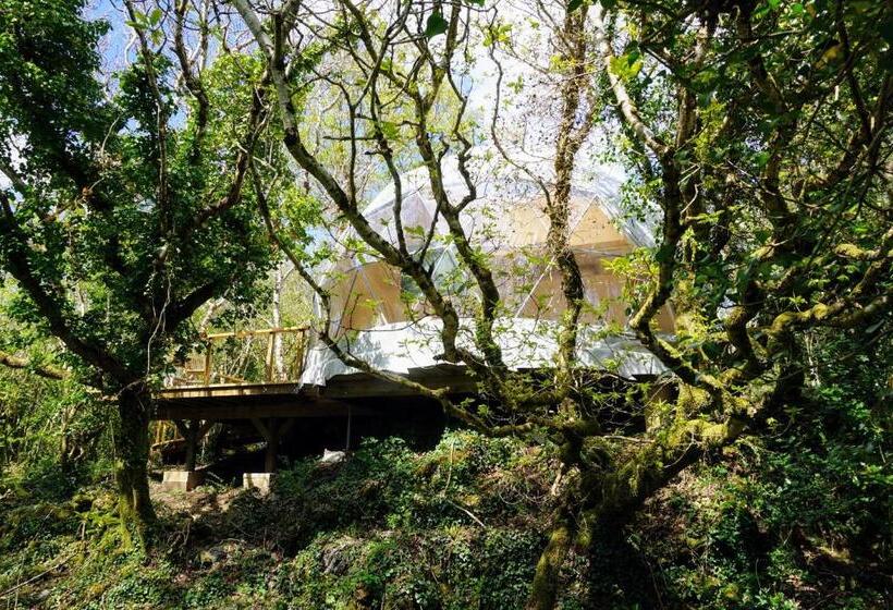 דירת חדר דלוקס, Fernwood