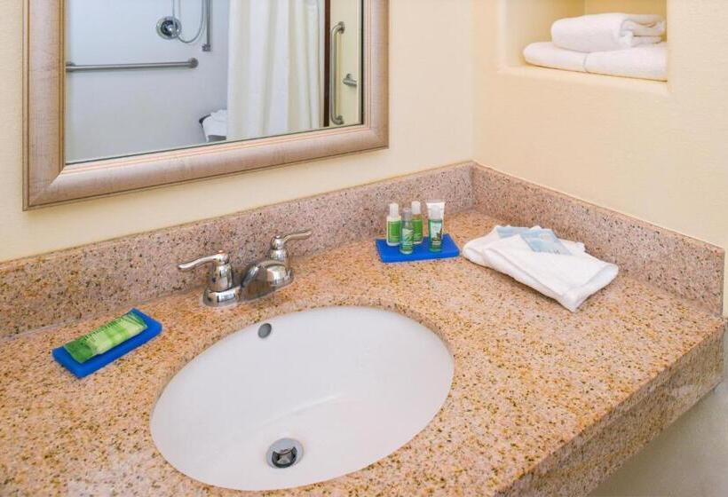キングサイズベッドのスタンダードルーム, Holiday Inn Express & Suites Alamosa, An Ihg