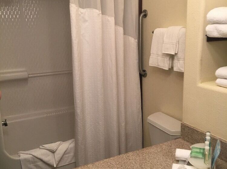 スイート, Holiday Inn Express & Suites Alamosa, An Ihg