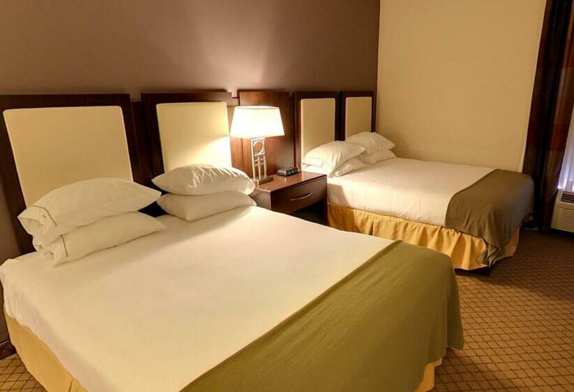 스탠다드 룸, Holiday Inn Express Hotel & Suites Blythewood, An Ihg