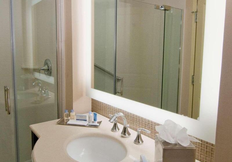 스탠다드 룸 킹사이즈 침대, Doubletree By Hilton  Sterling  Dulles Airport