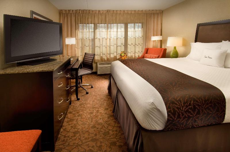 스탠다드 룸 킹사이즈 침대, Doubletree By Hilton  Sterling  Dulles Airport