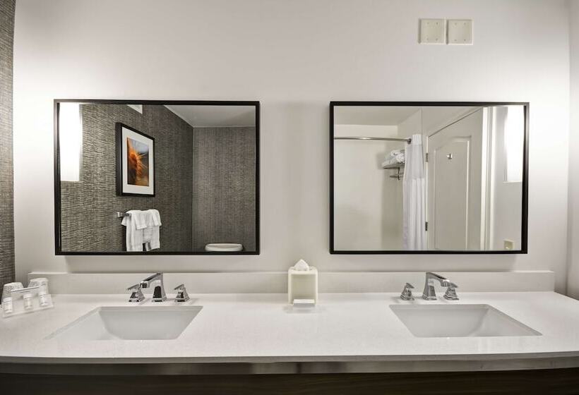 Номер Deluxe, Hilton Garden Inn Austin/round Rock
