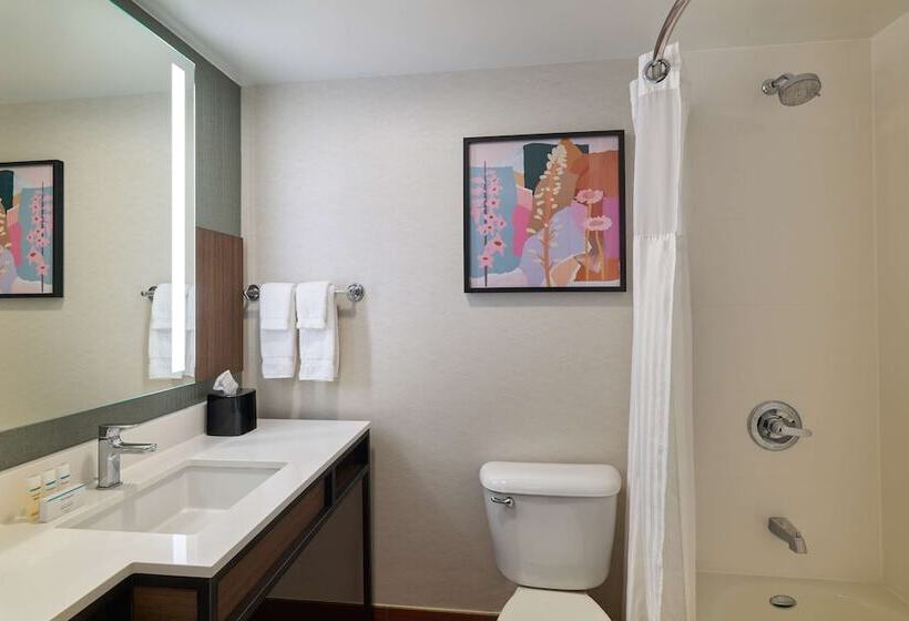 Camera Standard, Hilton Garden Inn Bloomington
