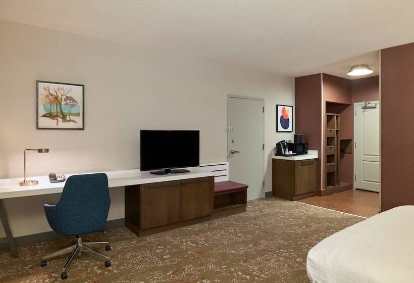 Camera Standard Accessibile ai Disabili, Hilton Garden Inn Bloomington