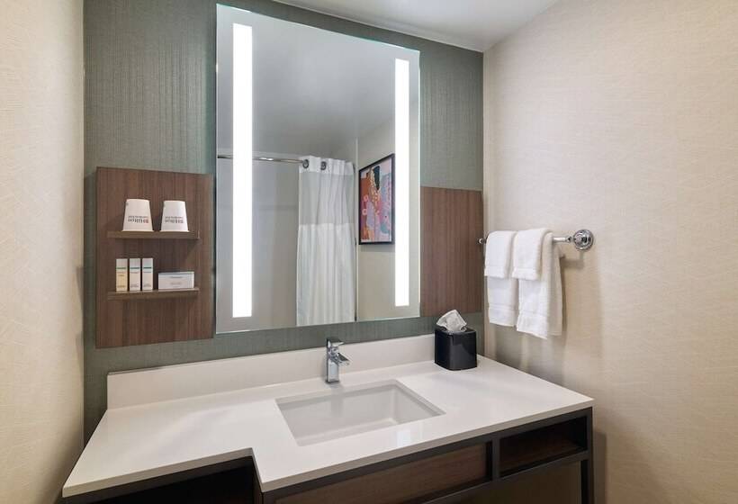 Camera Premium, Hilton Garden Inn Bloomington