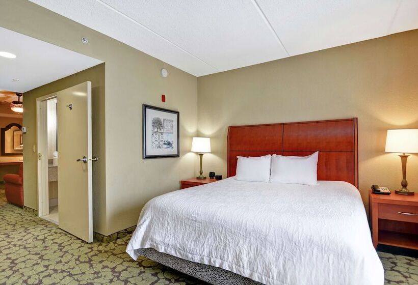 Номер Стандарт, Hilton Garden Inn Hattiesburg