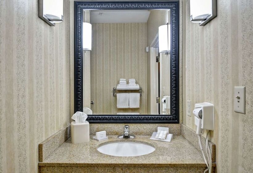Номер Стандарт Адаптированный для Инвалидов, Hilton Garden Inn Hattiesburg