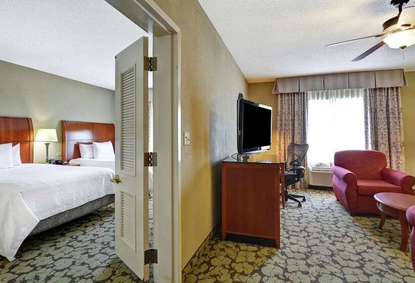 Номер Стандарт, Hilton Garden Inn Hattiesburg