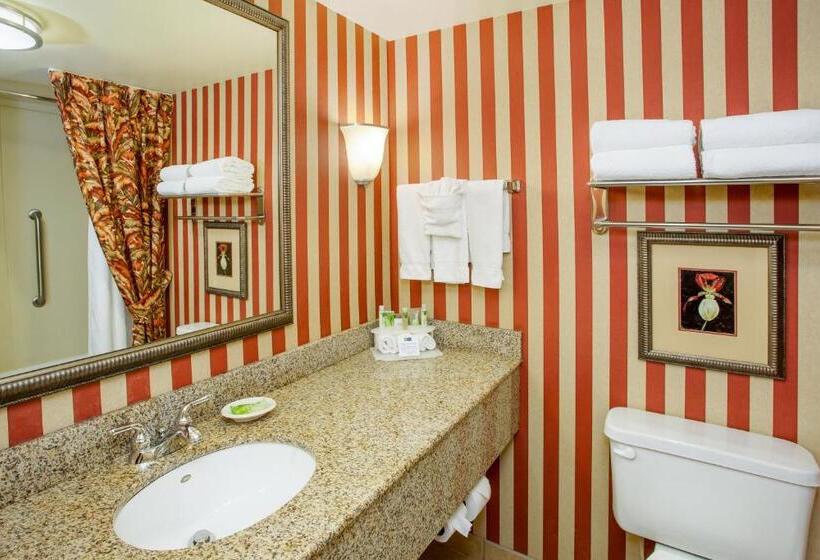 Quarto standard, Holiday Inn Express & Suites Bloomington, An Ihg