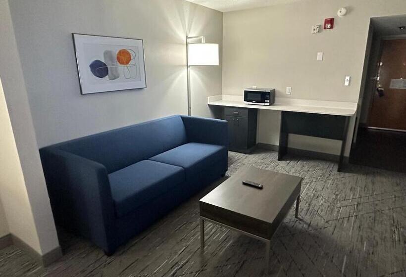 Люкс Кровать Кинг, Holiday Inn Express Birmingham Irondale East, An Ihg