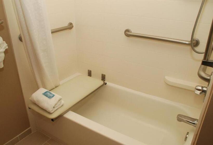 Номер Стандарт Кровать Кинг Адаптированный для Инвалидов, Holiday Inn Express Birmingham Irondale East, An Ihg