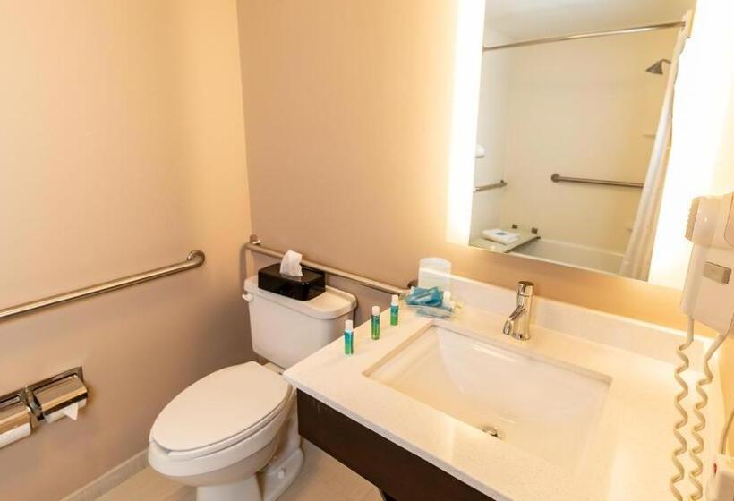 Номер Стандарт Адаптированный для Инвалидов, Holiday Inn Express Birmingham Irondale East, An Ihg