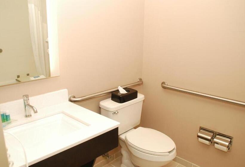 Люкс Адаптированный для Инвалидов, Holiday Inn Express Birmingham Irondale East, An Ihg
