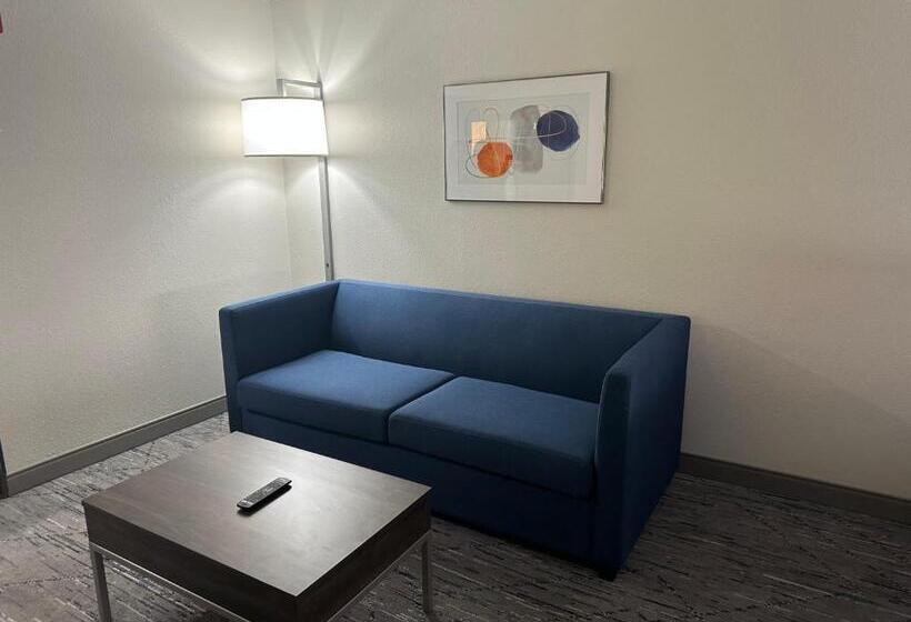 Люкс Адаптированный для Инвалидов, Holiday Inn Express Birmingham Irondale East, An Ihg
