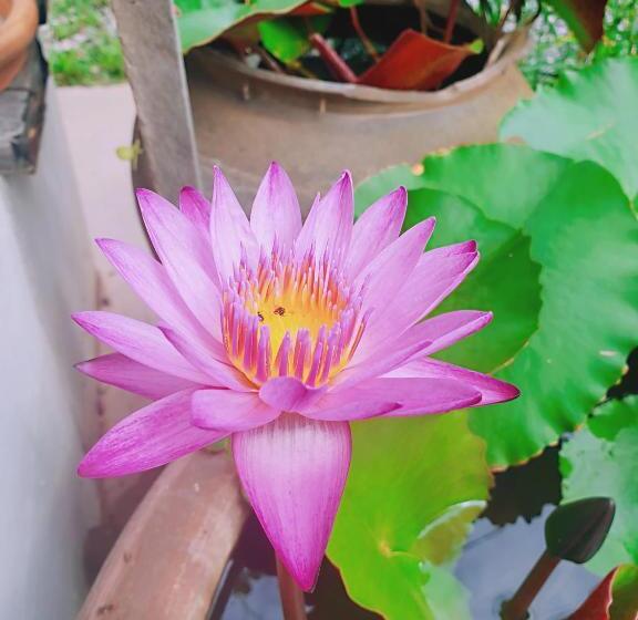 اتاق استاندارد, ฮักเคียงโขง Hug Khieng Khong Nongkhai Hostel