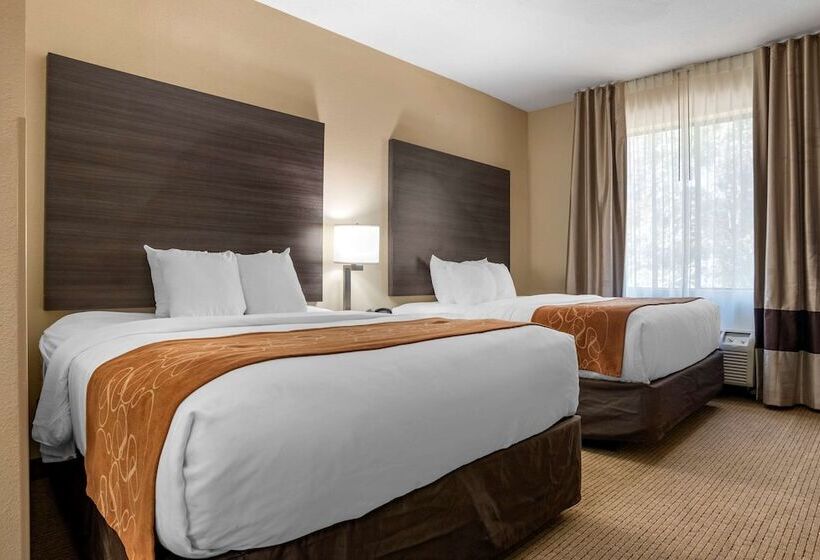 스위트, Comfort Suites Mobile West Tillmans Corner
