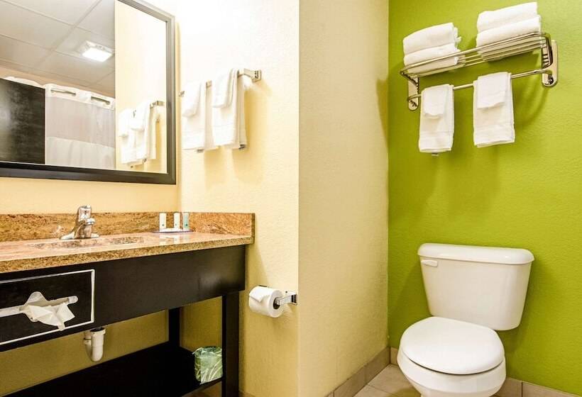 Стандартный Номер Кровать Кинг, Quality Inn & Suites Glenmont  Albany South