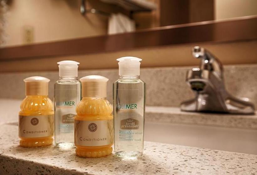 Люкс Кровать Кинг, Sky Point Hotel & Suites   Atlanta Airport