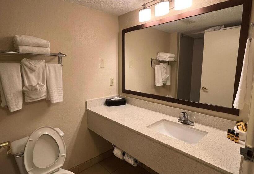 Президентский Люкс, Sky Point Hotel & Suites   Atlanta Airport