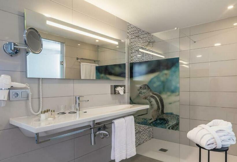 StandaardKamer, Aparthotel Esquinzo y Monte del Mar