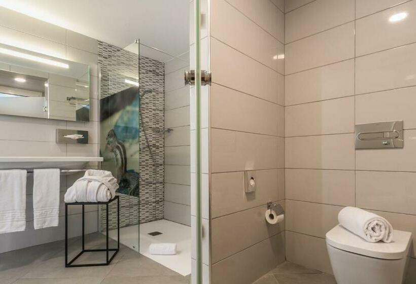 Номер Стандарт, Aparthotel Esquinzo y Monte del Mar