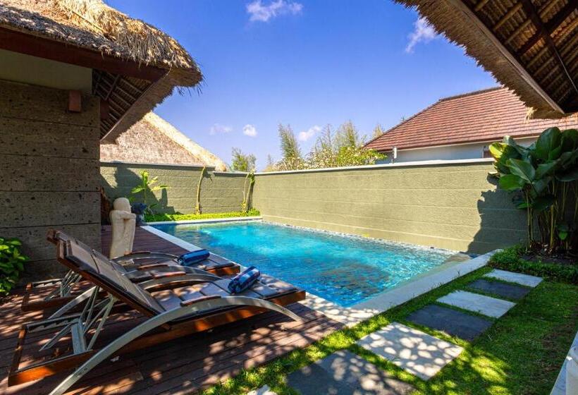 ویلای یک اتاق خوابه با استخر شنا, Abi Bali Resort And Villa