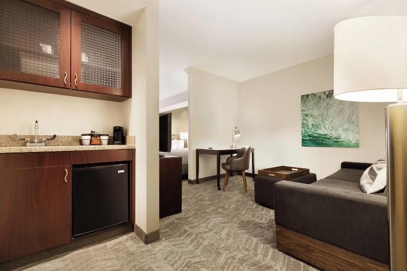 キングサイドベッドのスタンダードワンルーム, Springhill Suites By Marriott West Palm Beach I 95