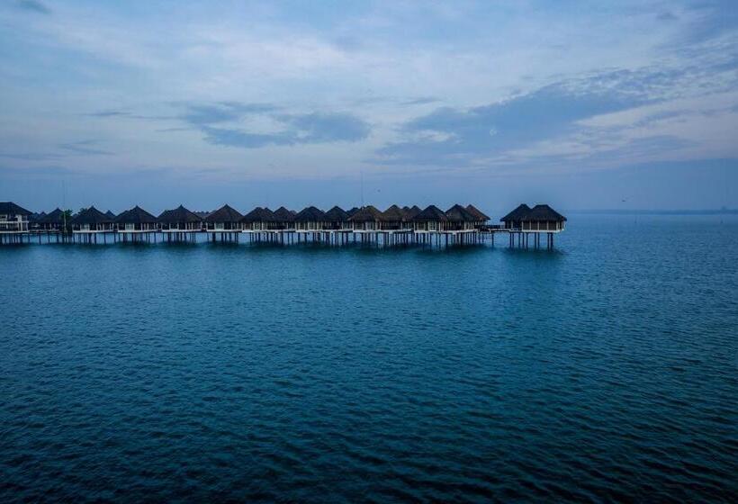 Номер Superior, Golden Palm Tree Malaysia