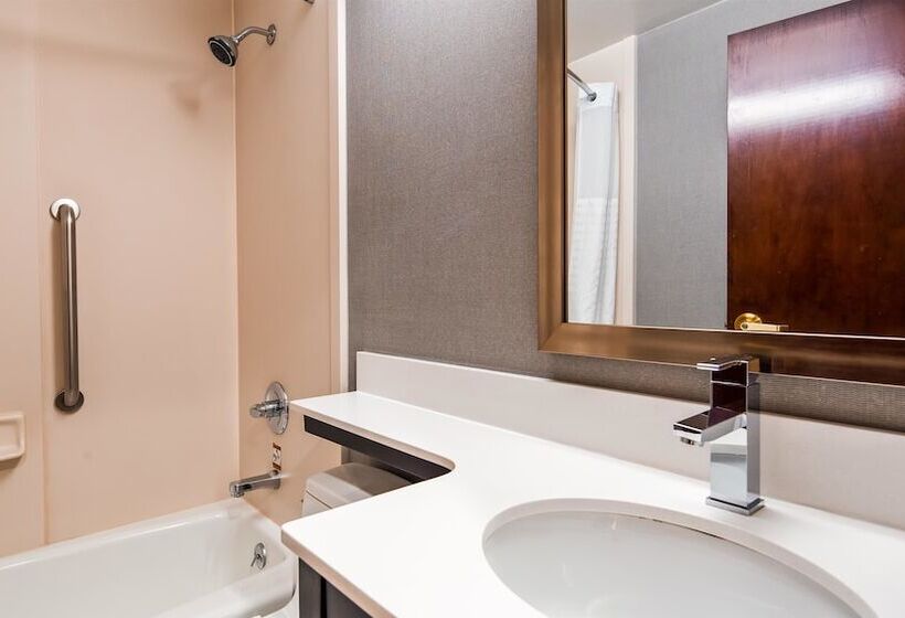 اتاق استاندارد با 2 تخت دوبل, Best Western Jfk Airport
