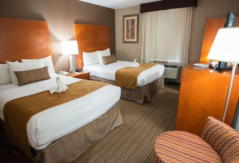 اتاق استاندارد با 2 تخت دوبل, Best Western Jfk Airport