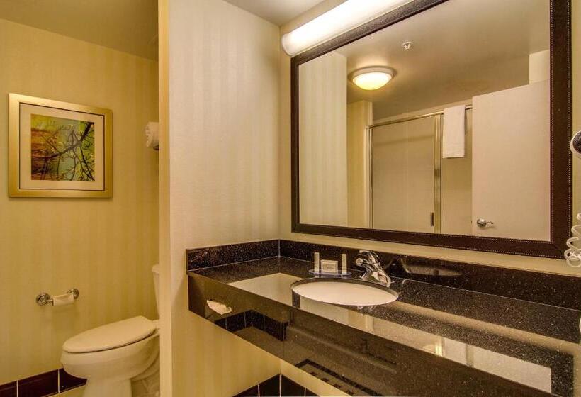 Стандартный Номер Кровать Кинг, Fairfield Inn & Suites Palm Coast I95
