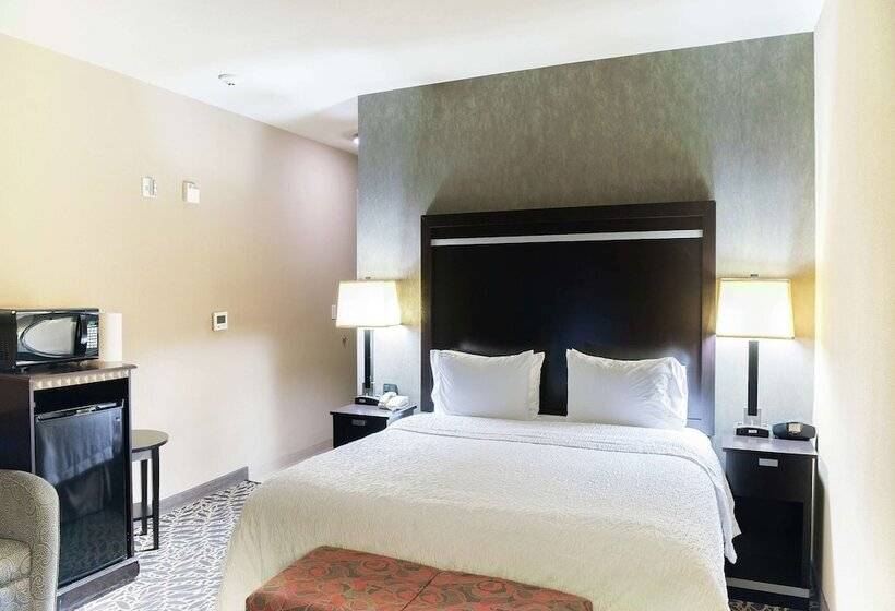 Habitació Estàndard, Hampton Inn & Suites Bay City, Tx