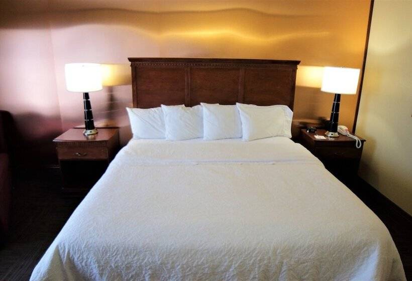 Номер Стандарт, Hampton Inn Seguin