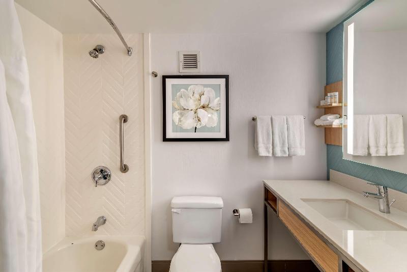 Стандартный Номер Кровать Кинг, Hilton Garden Inn Atlanta Ne/gwinnett Sugarloaf