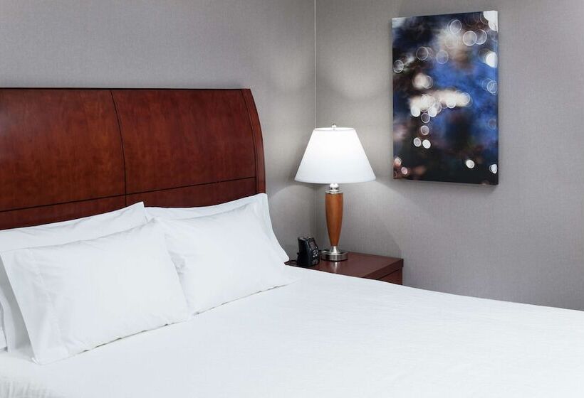 标准间, Hilton Garden Inn Lake Forest Mettawa
